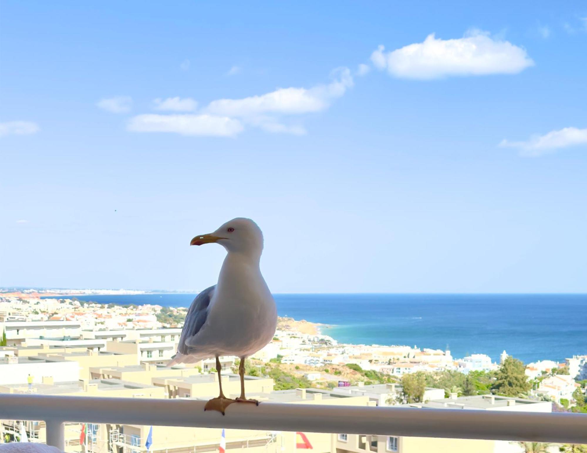 Apartment Les 3 Dauphins In Albufeira Kültér fotó
